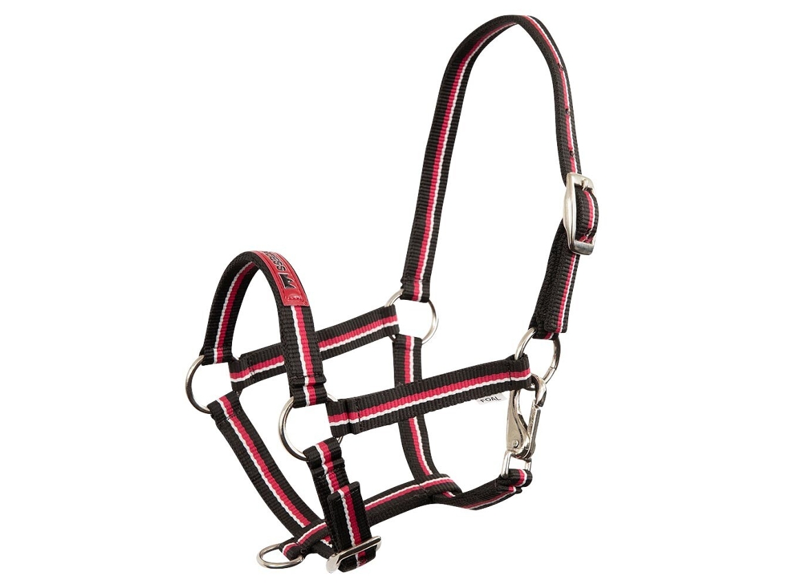 Cabresto para Potros PREMIERE Equitation Fun
