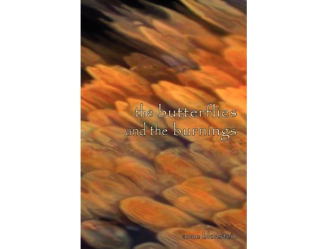 Livro The Butterflies and the Burnings Anne Blonstein (Inglês)