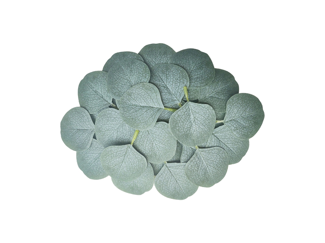 Três Aros de Folhas de Eucalipto Brancas, Pack de 50 LAXISCREED