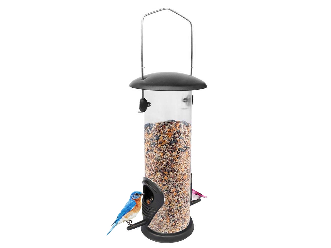 Recipiente de Comida Pássaros Selvagens Ferro Tampa Base Pvc