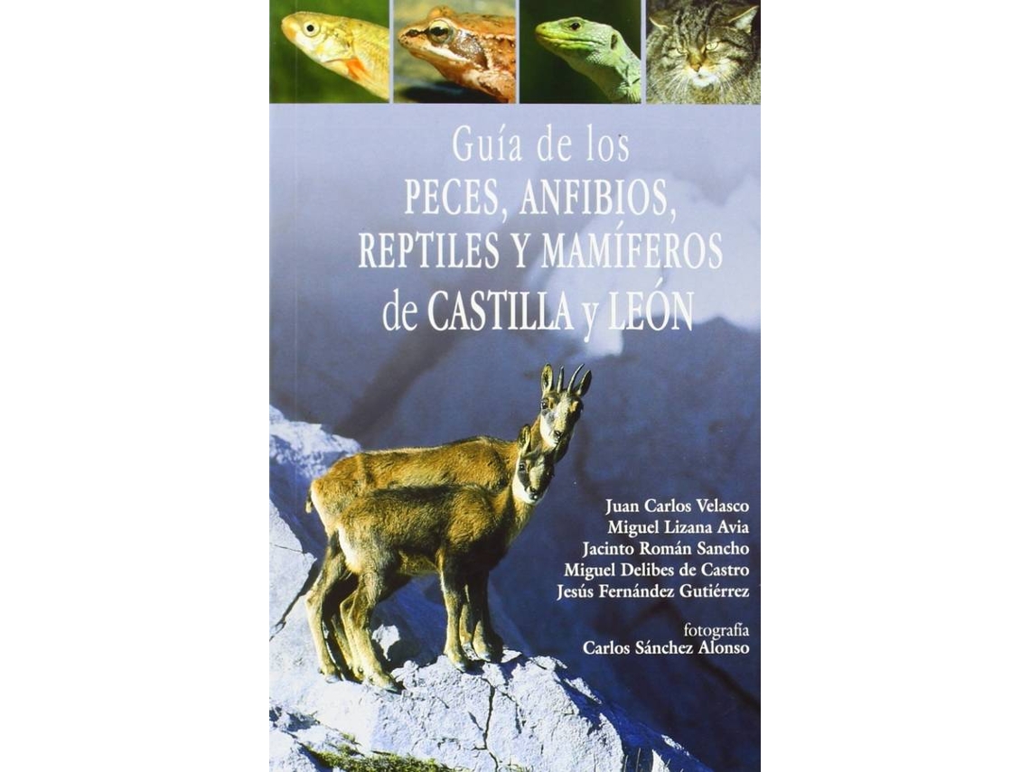 Livro Guía De Los Peces, Anfibios, Reptiles Y Mamiferos De Castilla Y León de Juan Carlos Velasco (Espanhol)