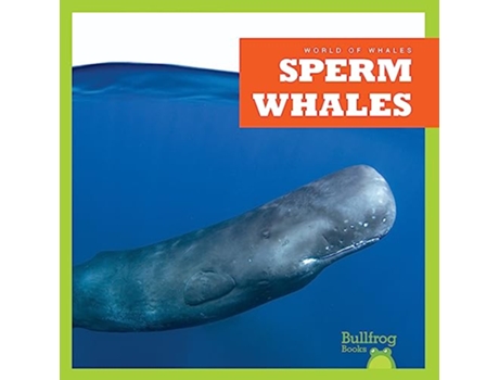 Livro Sperm Whales de Katie Chanez (Inglês - Capa Dura)
