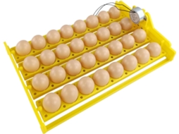 Espátula Automática Para Ovos – 32 Suportes