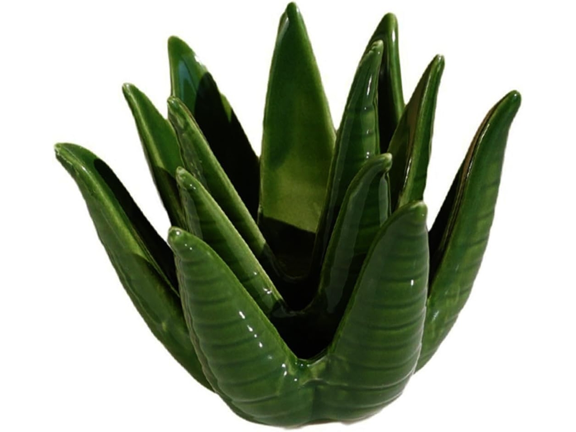 Nuobesty Prato Para Joias Em Cerâmica Em Formato De Cacto, Bandeja Decorativa Branca Para Anéis, 1 Peça