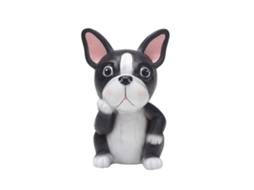 Óculos para Animais com Estrutura de Resina LAXISCREED