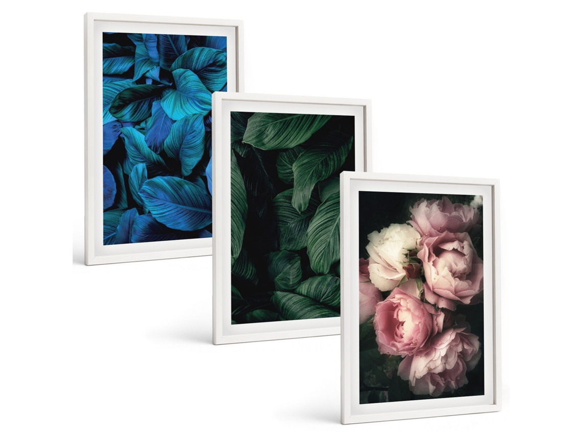 Conjunto De Pinturas Folhas, Flores, Várias Cores Espelharte (3 Peças 40x60 Cm)