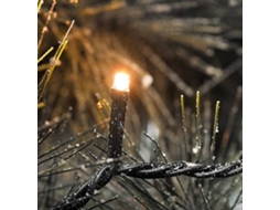 Luzes Decorativas LED KONSTSMIDE 3612-800