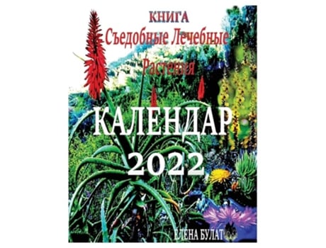 Livro ?????. ???????? 2022 ?????????. ???????? ???????? De Elena Pankey E Elena Bulat (russo)