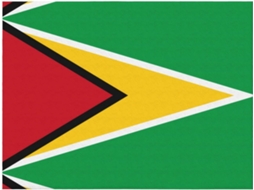 Manta de Flanela Ultramacia Phayah com Estampa da Bandeira Guiana Ideal para Sofá Cama Sala Estar Escritório e