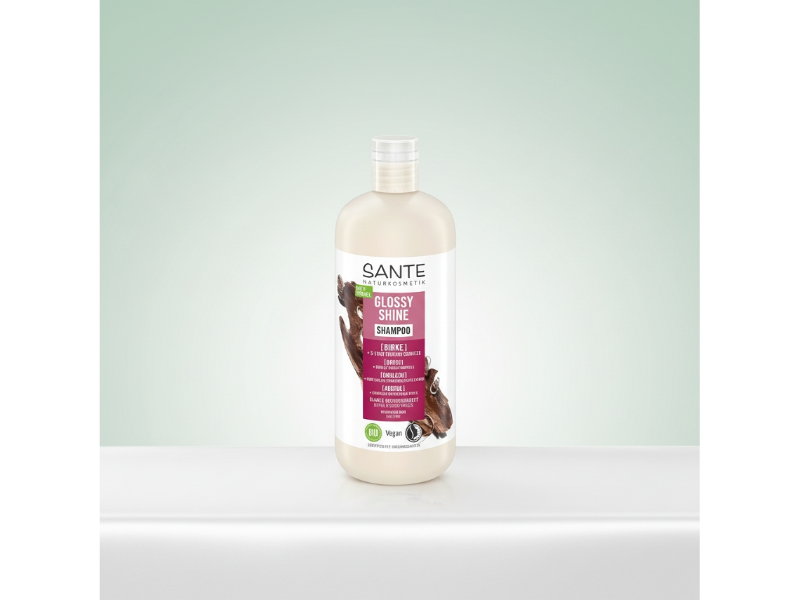 Shampoo Sante Radiant Shine Birch 500ml