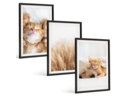 Galeria De Pinturas Murais Animais Fofos, Gatos, Cachorros, Estilo Boho Moldura Preta Fotos Para O Escritório Espelharte (3 Piezas De 40x60 Cm)