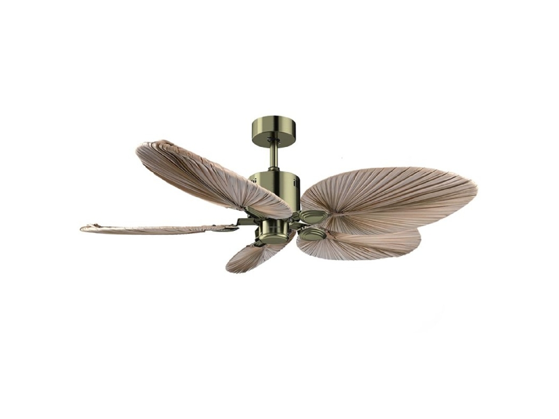 Ventoinhas de teto EnergySilence Aero 5200 Natural Palm Cecotec