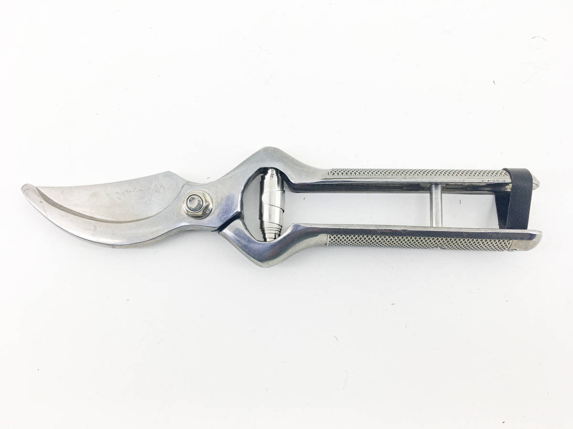 Tesoura CARPA Inox para Leitão (Cinzento)