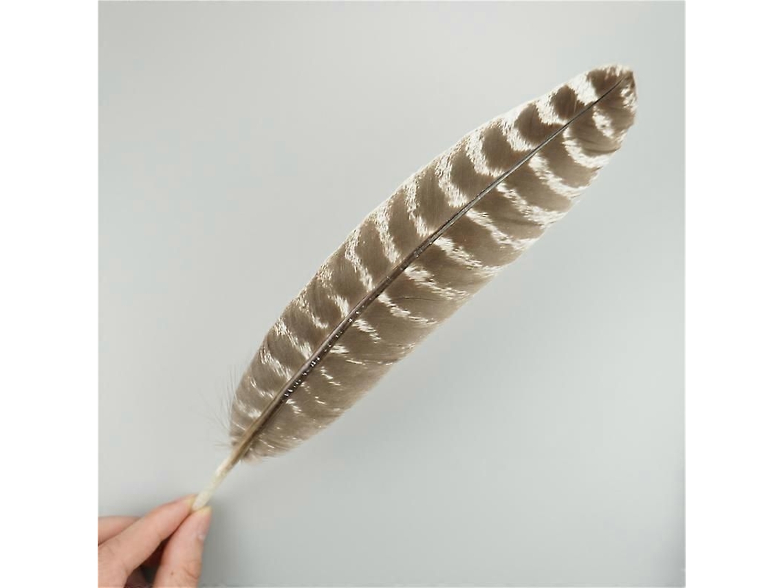 10 Penas De Águia Naturais Para Artesanato Acessórios De Chapéu Decoração Feriado Carnaval Diy 10 Unidades 25-30 Cm 10-12 Polegadas