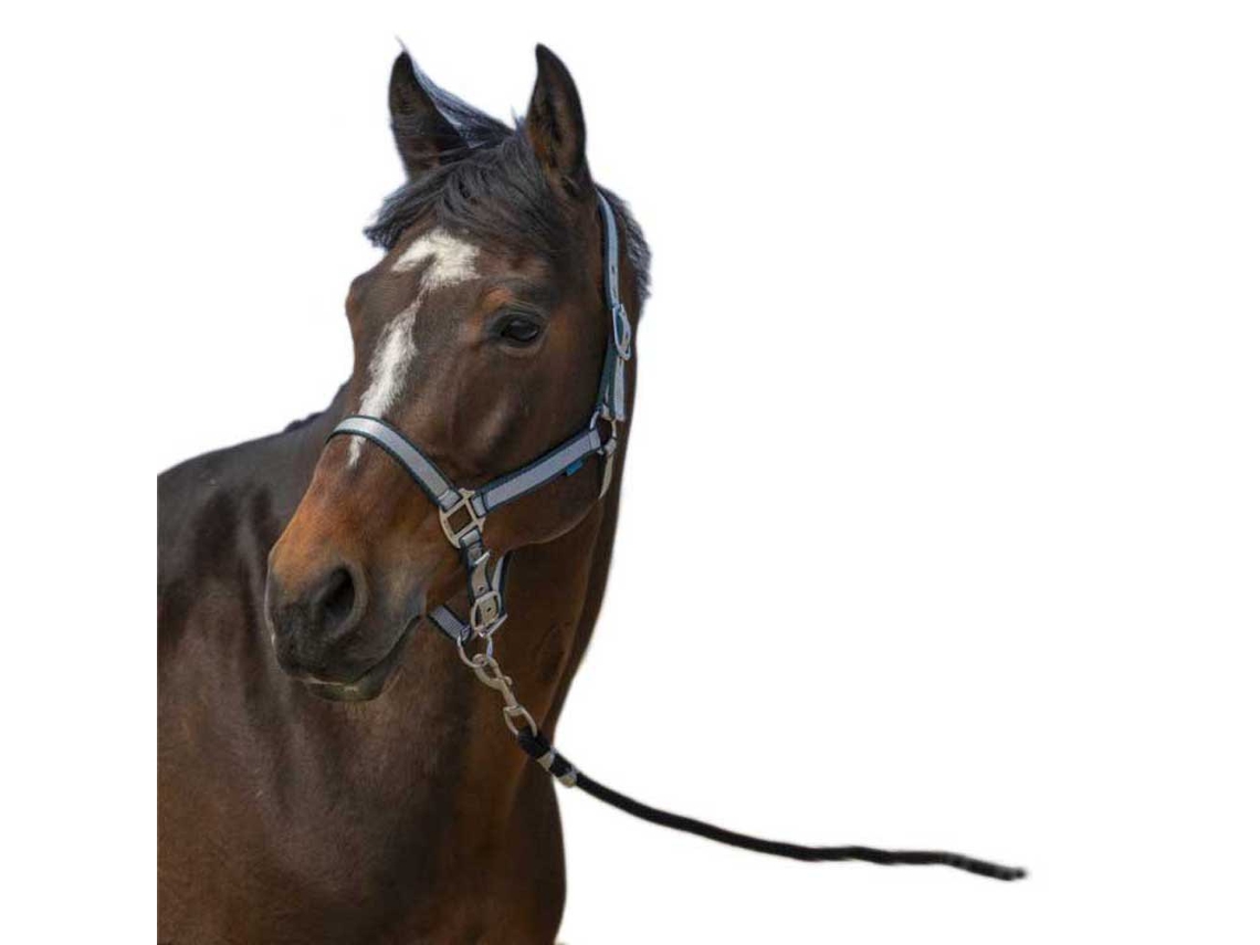 Cabeçada Nylon Soft Azul Fullnorton Equestrian