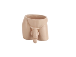 Vaso de Flores Interessante para Plantas Pequenas e Suculentas