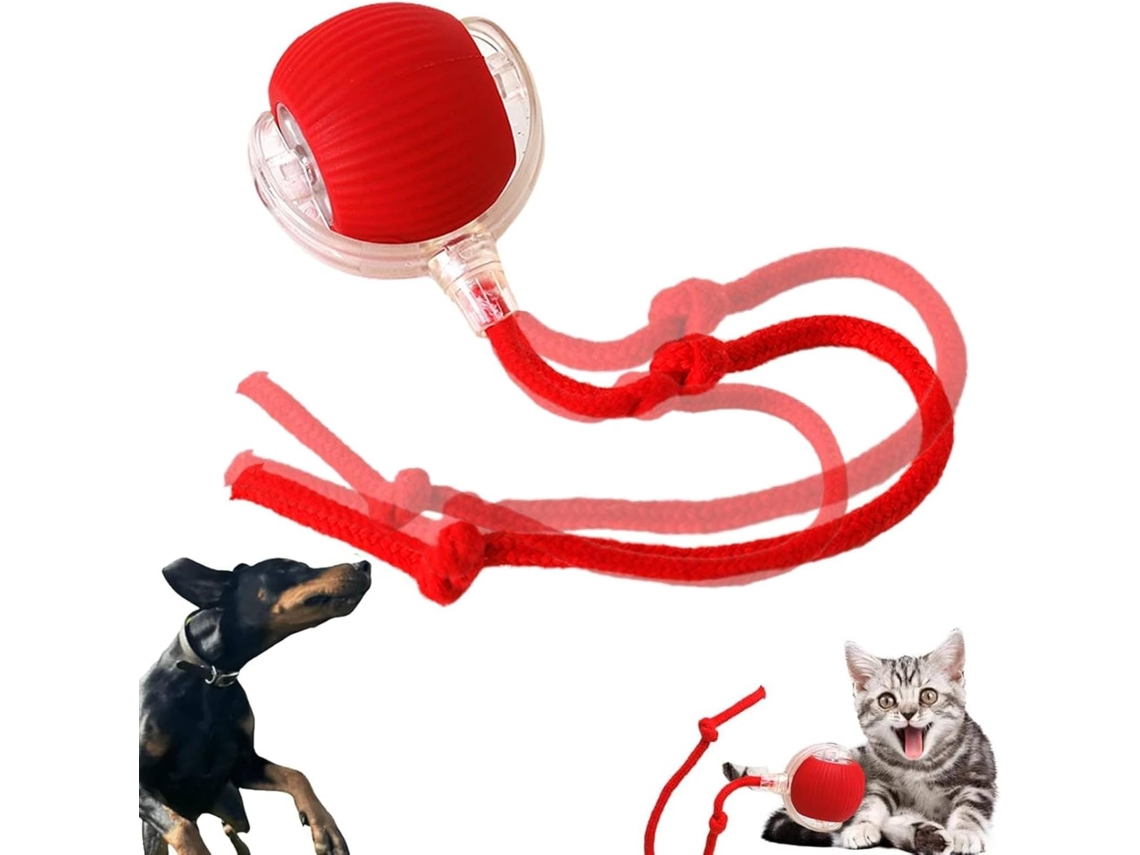 Brinquedo Interativo Para Gatos, Automático Para Brincar, Automático