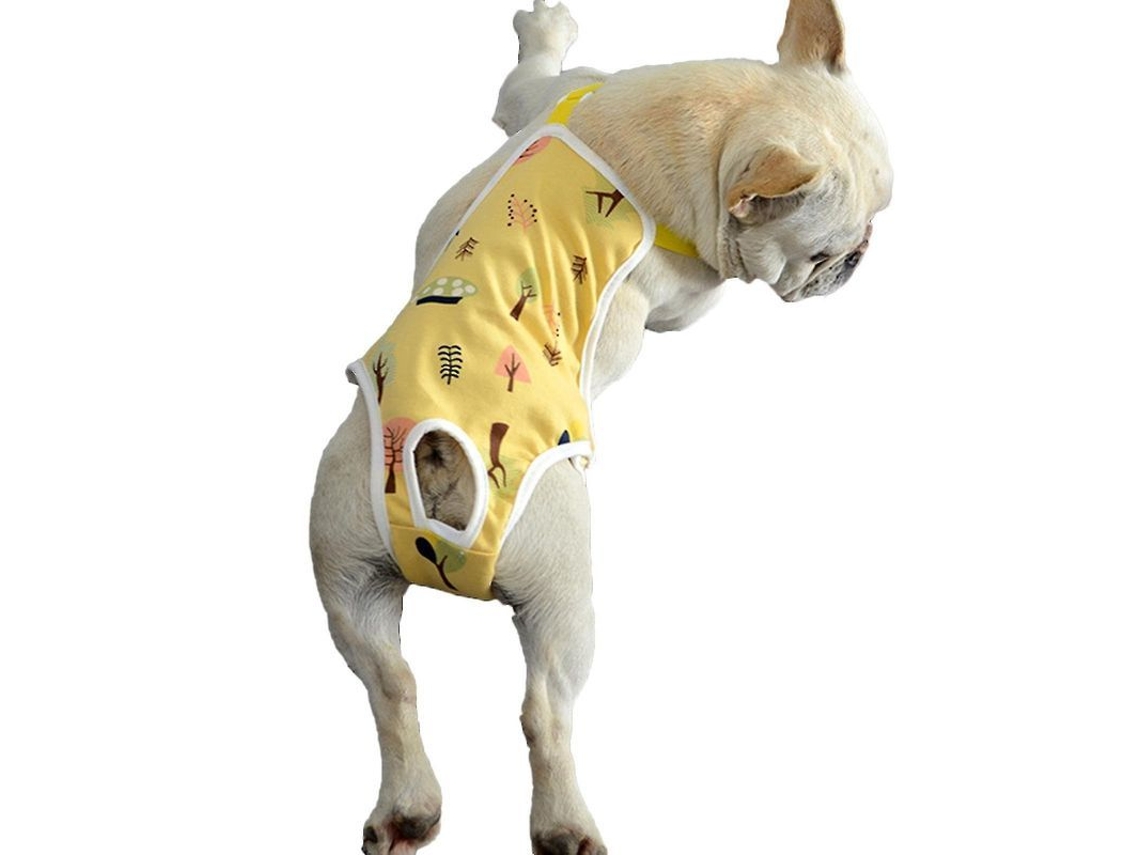 Fasst pantalones Sanitarios para Perros Ajustables Lavables para Período Menstrual Cortos para Mascotas Interior CUIDADOS