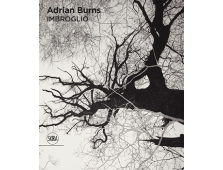 Livro Adrian Burns de Olivier Kaeppelin e Philippe Dagen (Inglês)