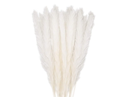 30 Unidades De Erva Das Pampas,58 Cm Flores Secas Naturais Para Vasos,branco Decoração Boho Quarto Sala,casamento Fotografia Mesa Decor Btforus