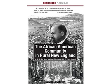 Livro The African American Community In Rural New England De David Levinson (inglês)