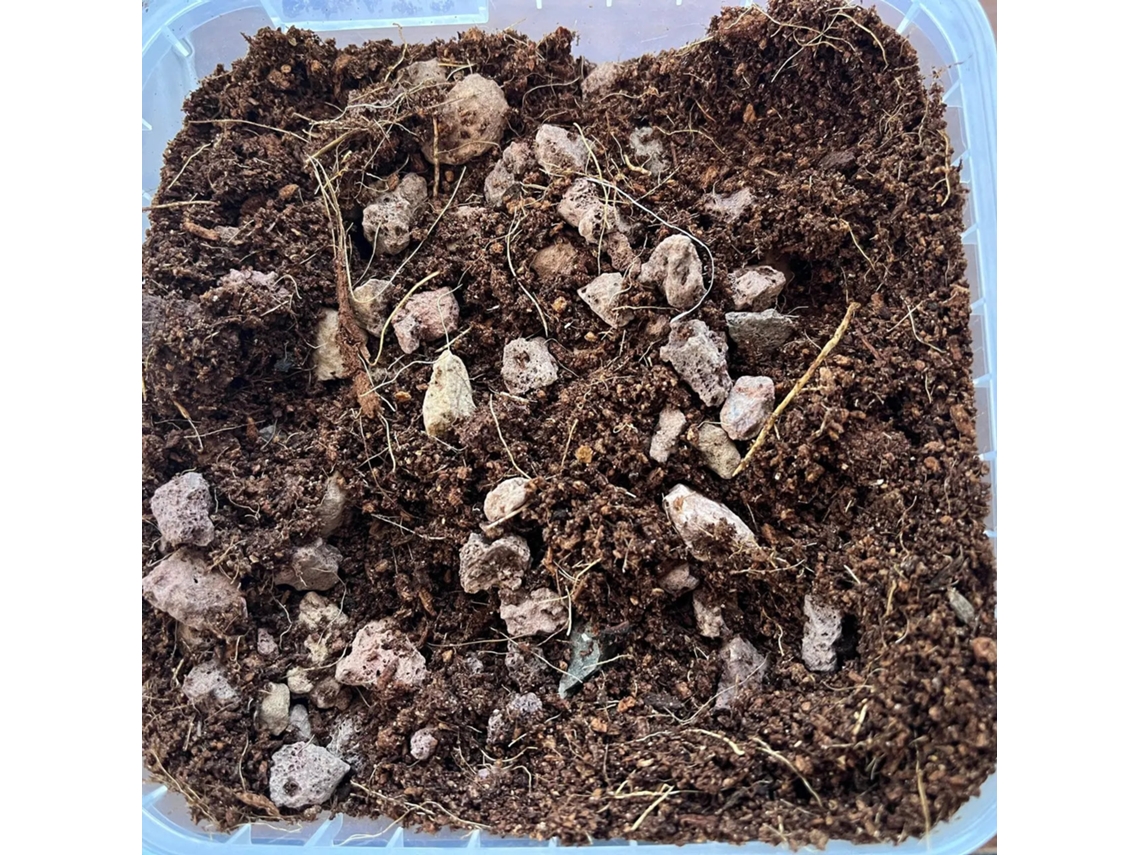 Substrato Básico Para Plantas Acidofílicas | Big Bag 1.000 L. | Vetonek