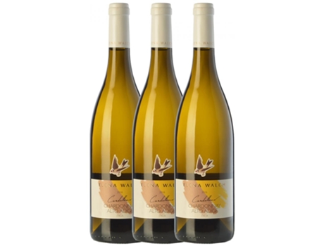 Elena Walch Cardellino Chardonnay Alto Adige 75 cl (Caixa de 3 unidades)