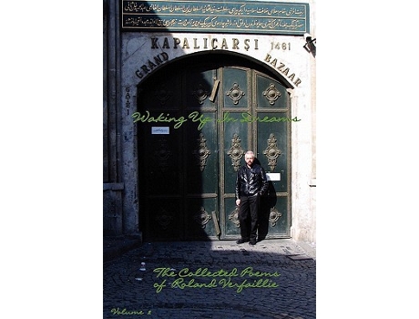 Livro Waking Up In Dreams de Roland Verfaillie (Inglês)