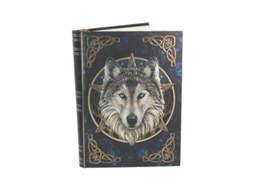 Embossed Journal The Wild One 17cm NEMESIS NOW (lp)