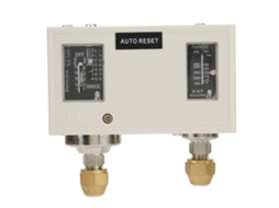 Interruptor De Pressão Dupla Eletrônico R1/4" 15a 250v