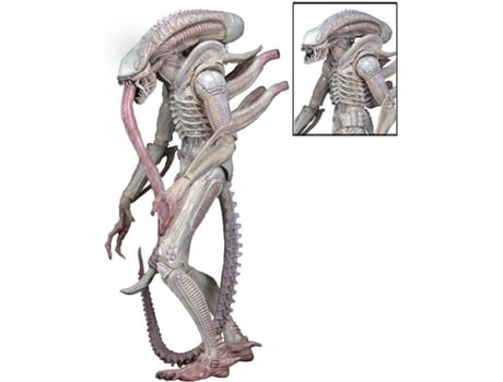 Figura de Ação  Neca Xenomorph Albino Drone Serie 9 (18cm)