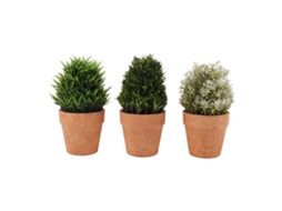 Conjunto 3 Plantas Falsas LAXISCREED para Decoração