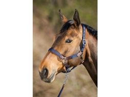 Cabresto com Corda Nylon Neoprene Smart HFI