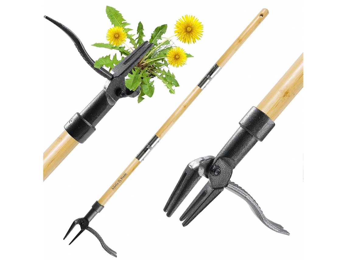 Removedor de Ervas Daninhas AQUAFORGE