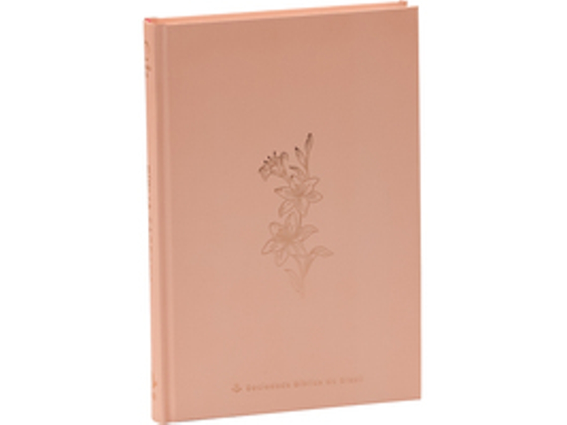 Livro Bíblia Ara, Rose Tan, Capa Dura Almeida Revista E Atualizada De Sociedade Bíblica Do Brasil (português Do Brasil)
