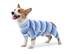 Traje De Recuperação Para Cães Pós-cirúrgico, Macacão Elástico Para Pequenos, Médios E Grandes
