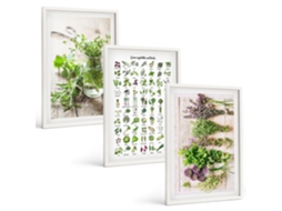 Quadros Decorativos Para Parede Ervas Secas Para A Cozinha Moldura Branca Imagens Para Um Quarto Infantil Espelharte (3 Piezas De 40x60 Cm)