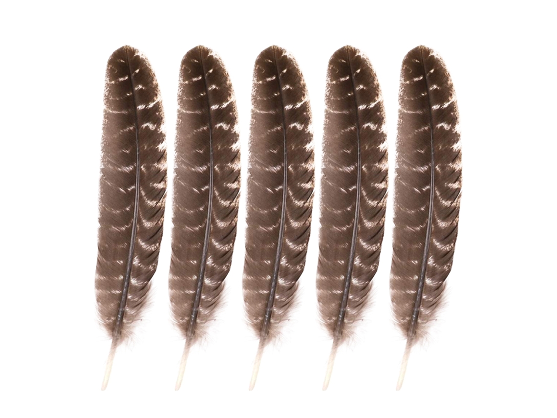 Pena de coelho natural com riscas para decoração, pack de 5 peças LAXISCREED