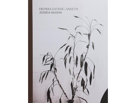Livro Depreciating Assets De Jessica Vaughn (inglês)