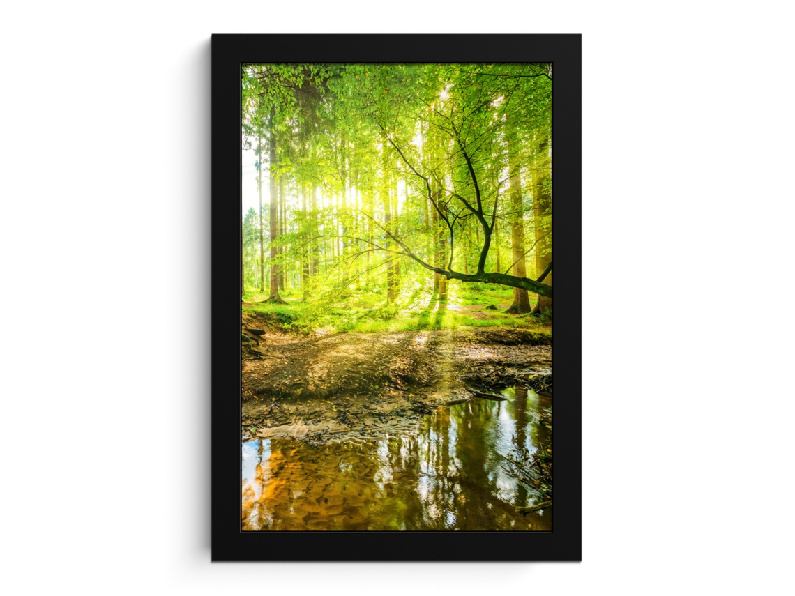Poster Emoldurado Floresta - Paisagem - Água - Árvores - Sol - Verde - Natureza 20x30 Cm