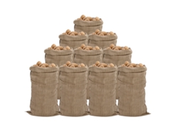 Vidaxl Sacos De Juta 10 Unidades 65x135 Cm 100% Juta 340 G/m²