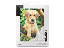 Conjunto Pintar Com Números REEVES Cão Labrador, 25 Peças