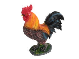 Figura De Galinha De Resina Para Decoração De Jardim
