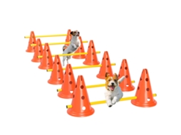 Ensemble D'agilité Pour Chien 6 Pièce, Parcours D'obstacle Hauteur Réglable Avec Sac de Transport, Orange VELTUS TRADE