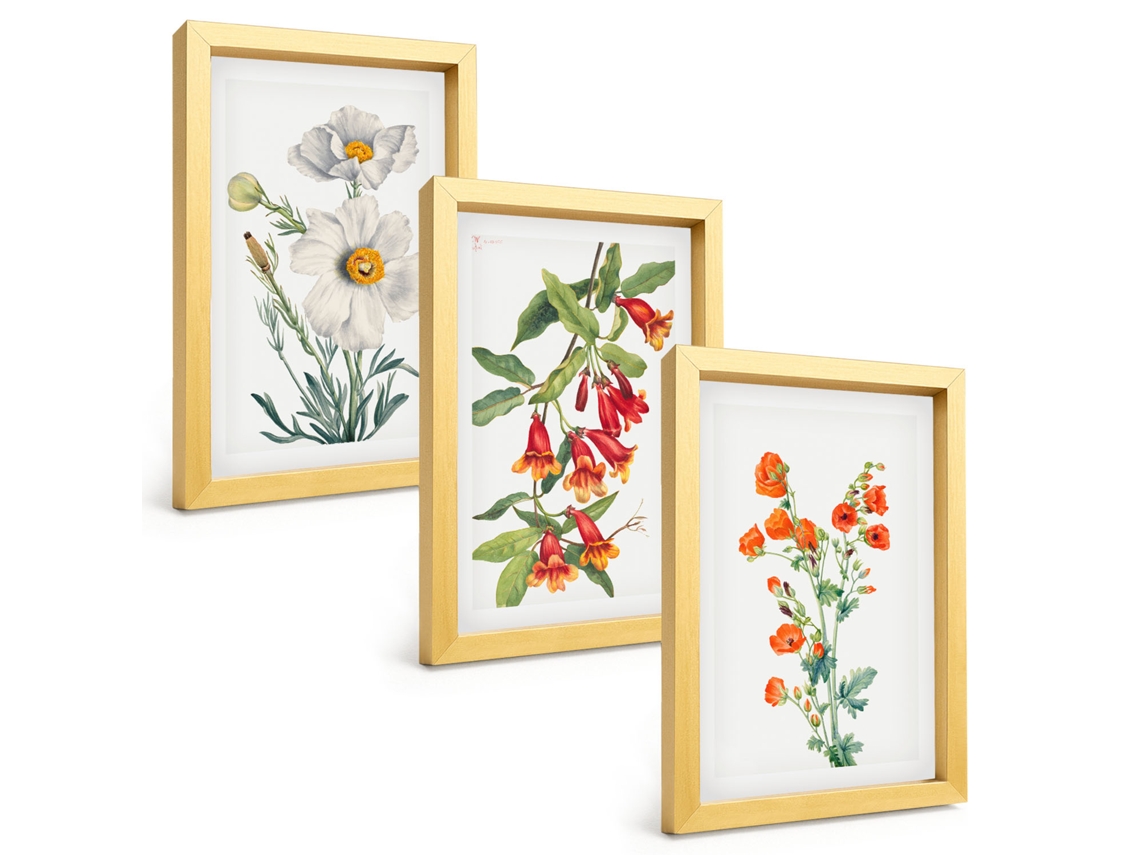 Galeria De Pinturas Muraiscomposições Florais Retrô Moldura Dourada Fotos Para O Escritório Espelharte (3 Peças 20x30 Cm)