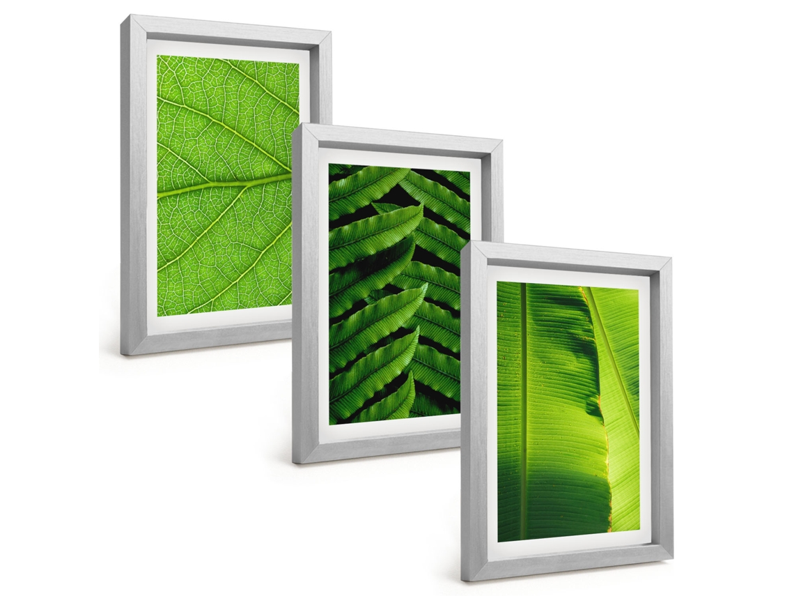 Composição De Quadros Folhas Tropicais, Macrofotografia Espelharte (3 Peças 20x30 Cm)