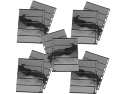 Álbum De Timbres À Feuilles Mobiles Pet Noir 10 Peças Reutilizáveis Para Organizador De Cartes E Fotos