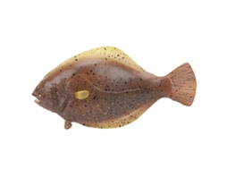 Mali brinquedo de Peixe Marinho Simulado Modelo Educativo para Crianças Presente Decoração