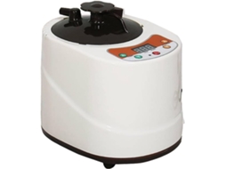 Aquecedor Elétrico para Sauna, Panela Portátil de 2 Litros para Sauna a Vapor, Máquina Geradora de Fumigação SFUSHOS
