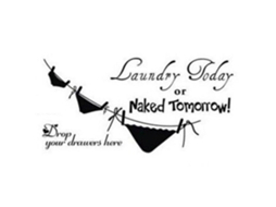 Adesivo de Parede "laundry Today" Vinil Removível para Lavanderia 78x41cm